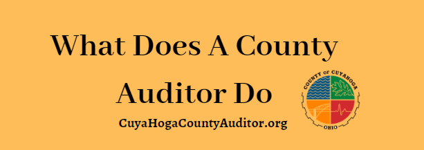 What Does A County Auditor Do