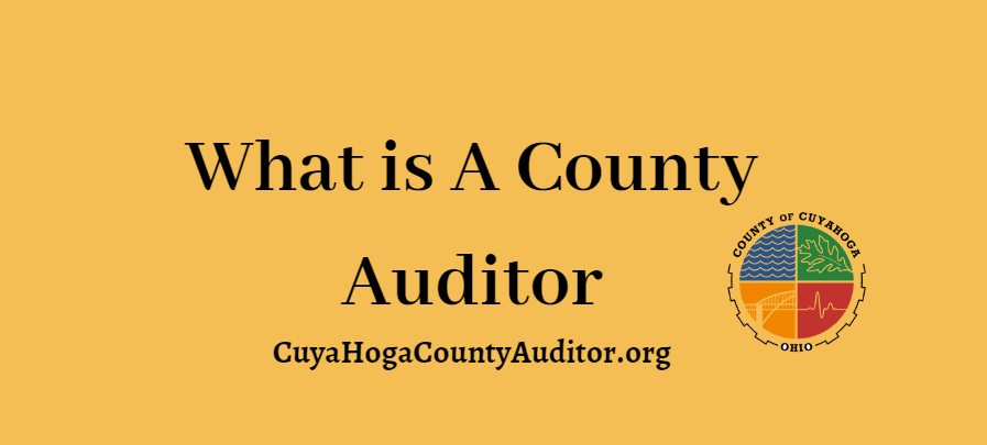 How Much Does a County Auditor Make